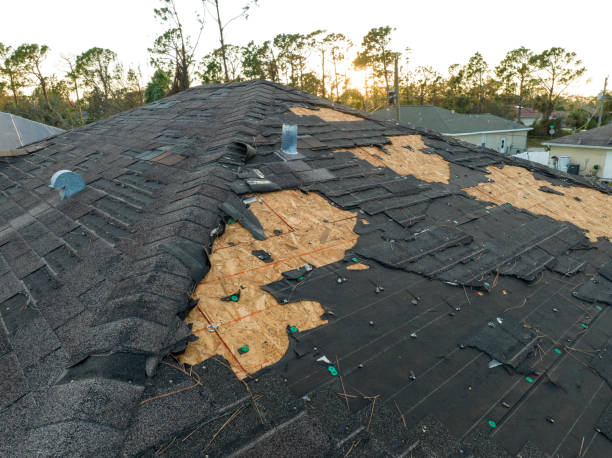 Best Roof Moss and Algae Removal  in Gray, GA